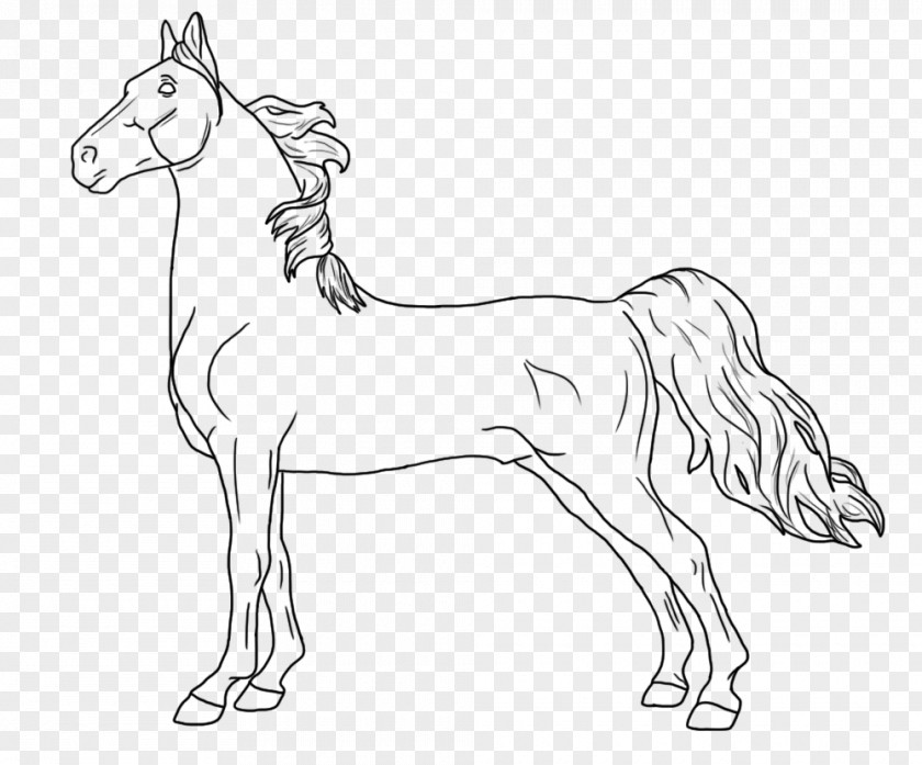 Mustang Coloring Book American Saddlebred Breyer Animal Creations Appaloosa Quarter Horse PNG