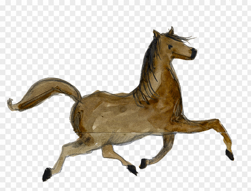 My Fair Lady Mustang Frankfurt Book Foal Stallion Pony PNG