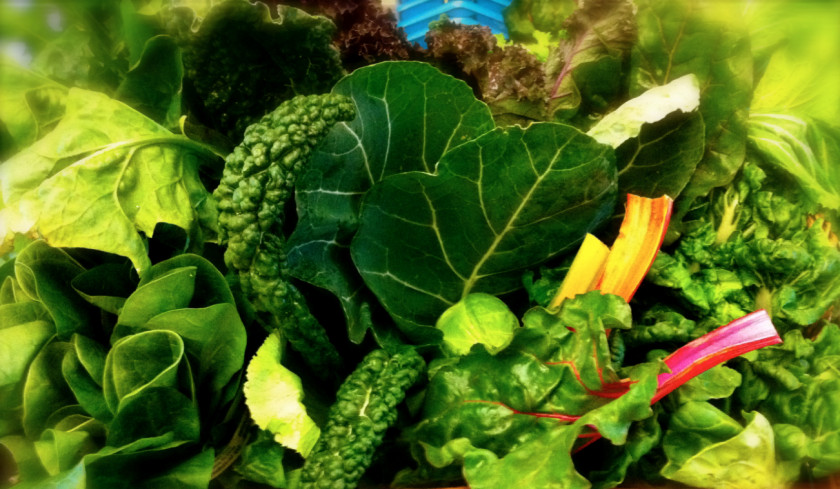Spinach Leaf Vegetable Eating Nutrition Food PNG