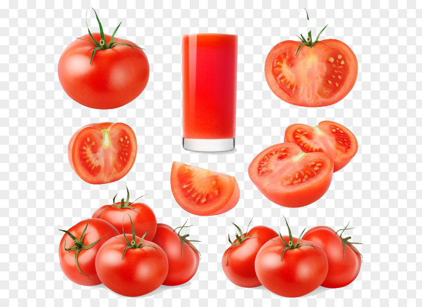 Tomato Juice Abgoosht Paste Borscht PNG