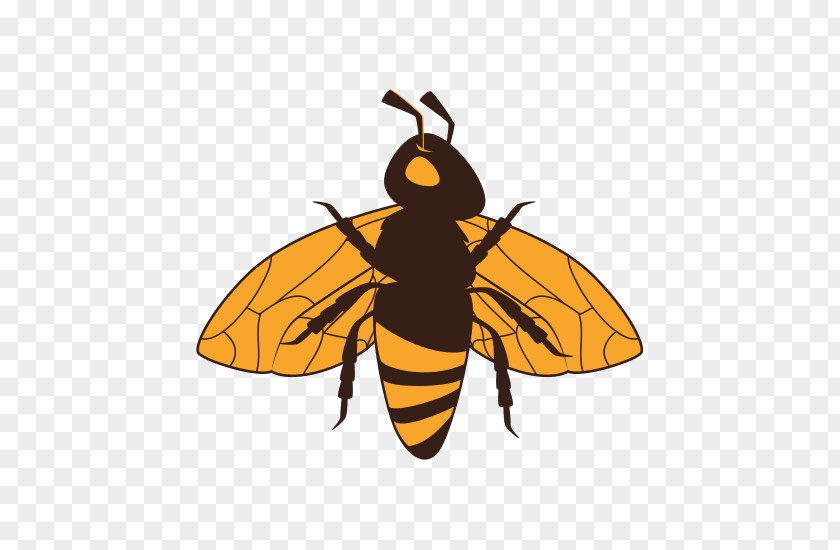 Bumblebee Insect Vector Graphics Royalty-free Stock Photography Bee Illustration PNG