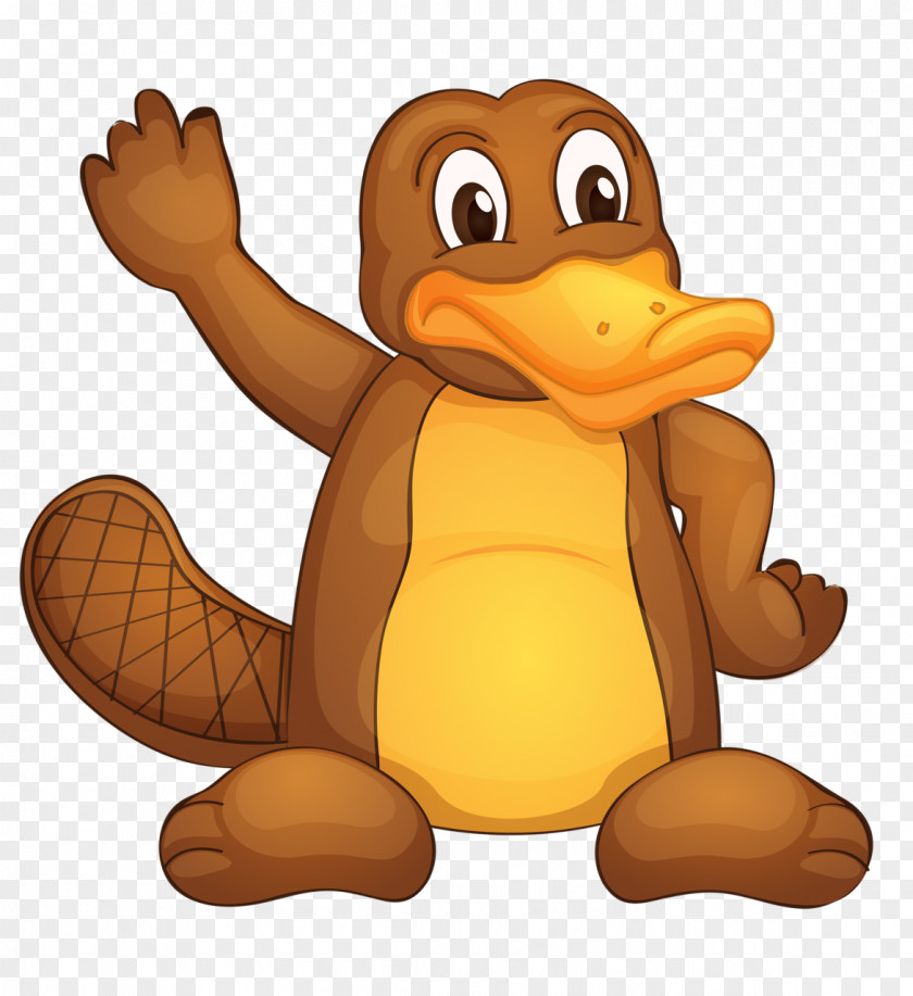 Cute Pictures Of Platypuses Perry The Platypus Clip Art PNG
