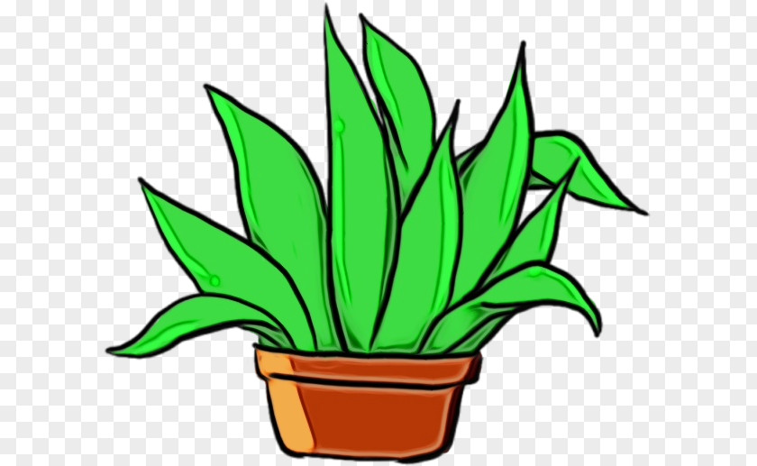 Grass Terrestrial Plant Flowerpot Houseplant Green Leaf PNG