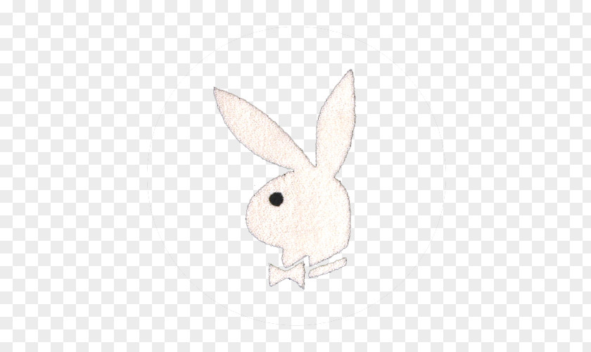 Rabbit Domestic Hare Drawing Whiskers /m/02csf PNG