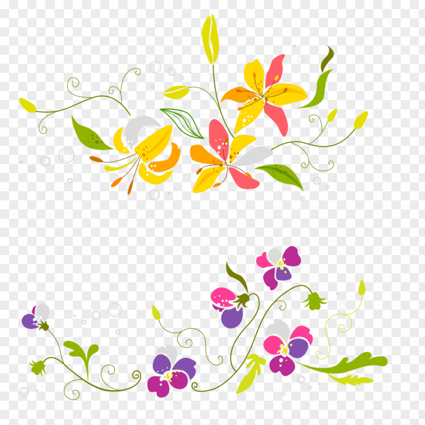 Two Colorful Flower Pattern Euclidean Vector PNG
