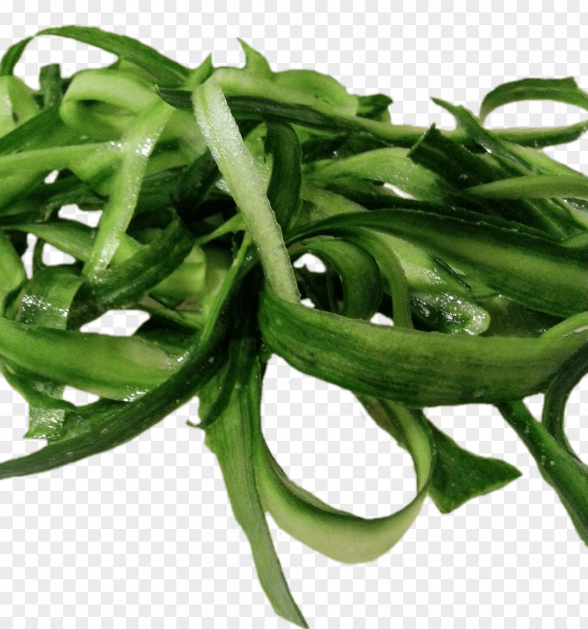 Vegetable Green Bean Peel Cucumber PNG