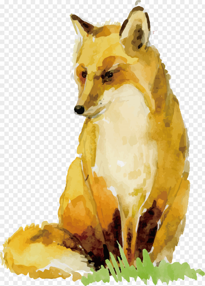 Watercolor Fox Design Painting Paper Animal Drawing PNG