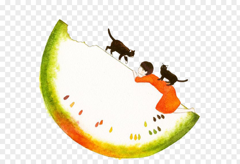 Watermelon Cat People Pixiv Illustration PNG