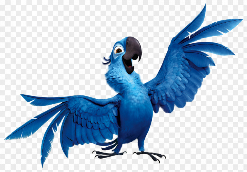 Blu Angry Birds Rio Parrot Nigel PNG