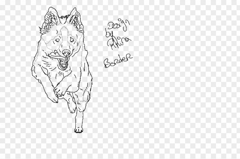 Cat Whiskers Paw Dog Sketch PNG