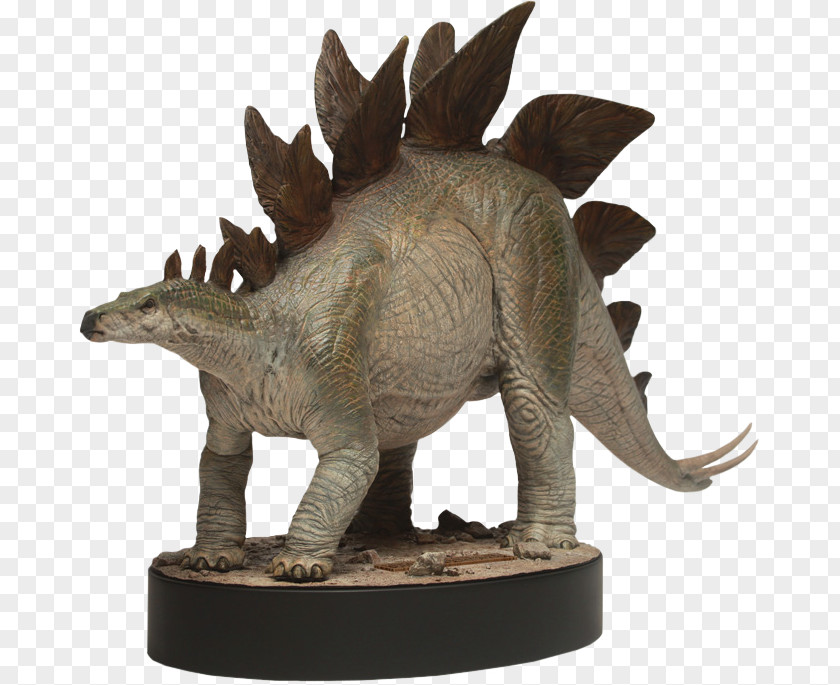 Dinosaur Stegosaurus Tyrannosaurus Triceratops Ceratosaurus PNG