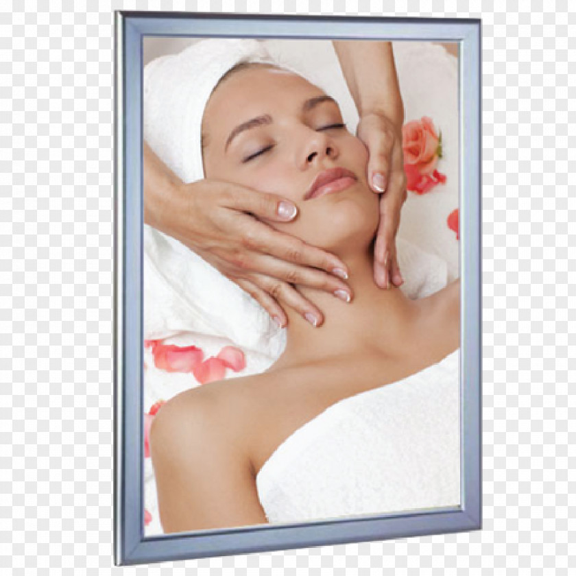 Face Beauty Parlour Facial Waxing Cosmetics PNG