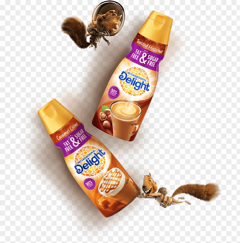 International Delight Iced Coffee Coupons Butter Pecan Vanilla Non-dairy Creamer PNG