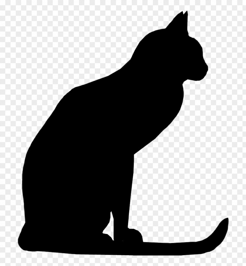 Kitten Maine Coon Silhouette Drawing Clip Art PNG