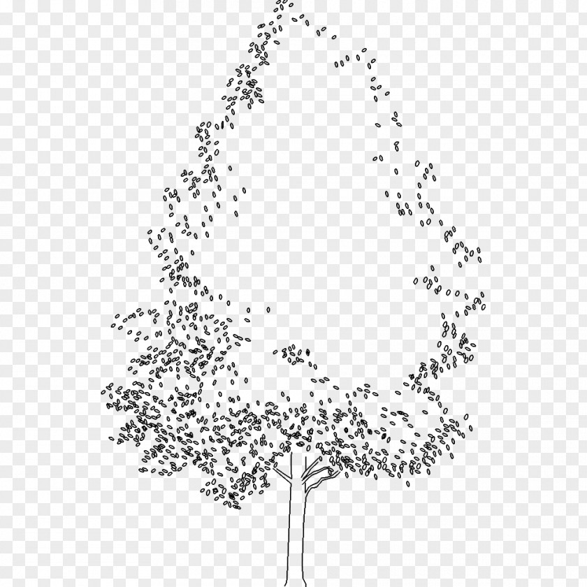 Leaf Twig Plant Stem Line Art Font PNG