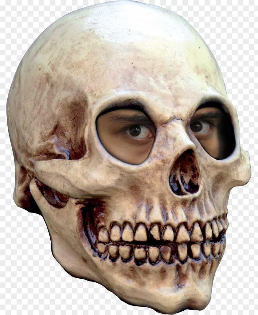 Mask Halloween Costume Human Skeleton Skull PNG