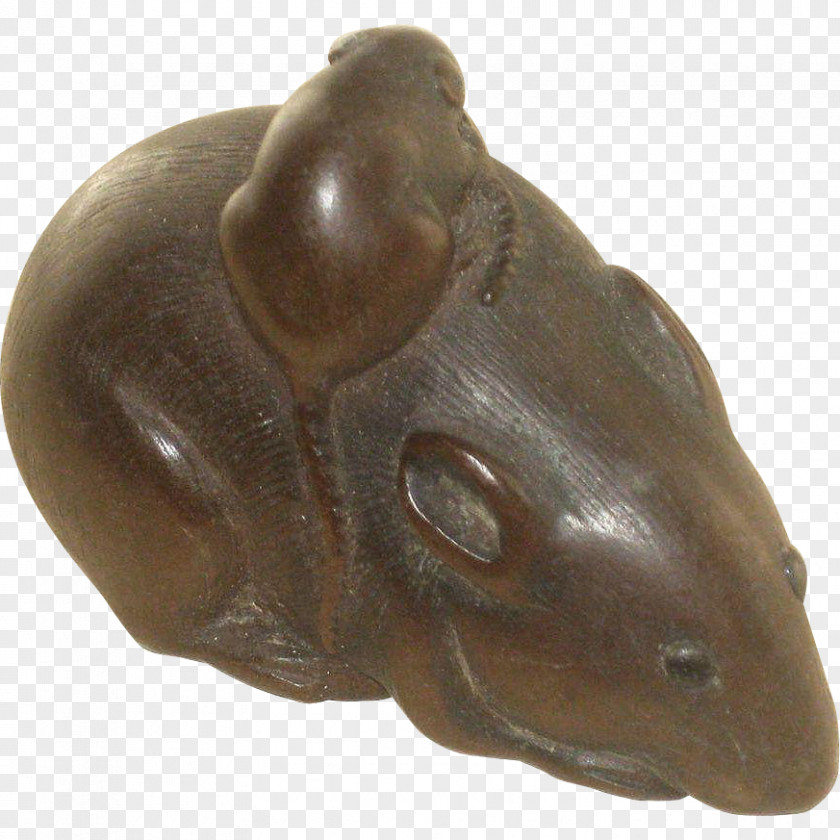 Rat & Mouse Amphibian Frog Terrestrial Animal Fauna PNG