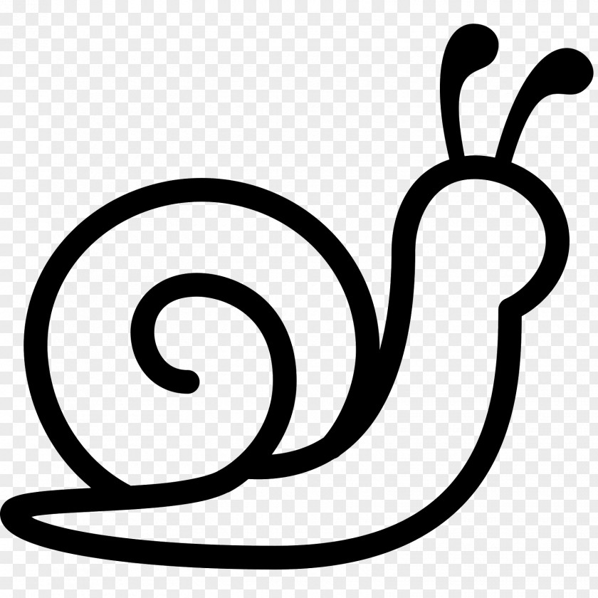 Snail Slug Gastropods Clip Art PNG