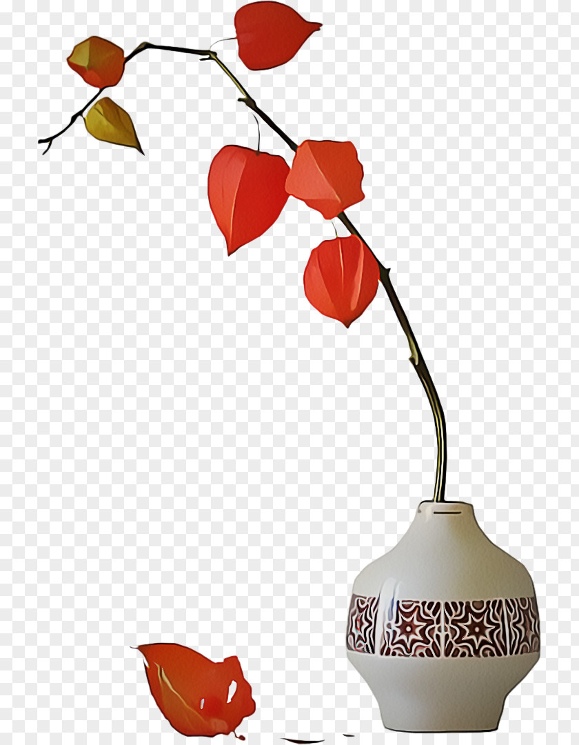 Still Life Photography Lamp Leaf Plant Tree Vase Flower PNG