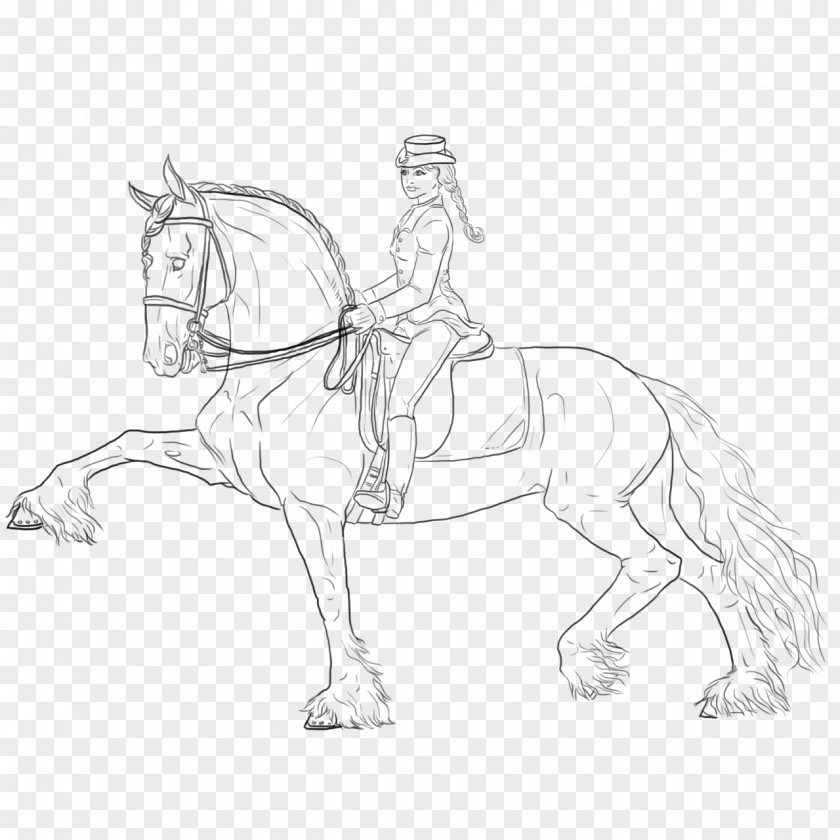 Friesian Horse Bridle Pony Line Art Sketch PNG