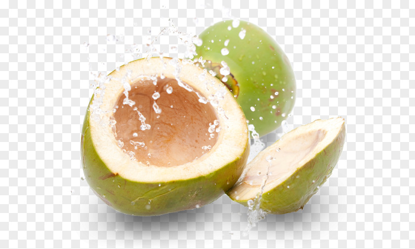 Fruit Splash Coconut Water Juice Gelatin Dessert PNG