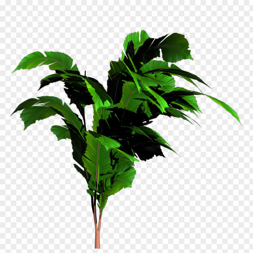 Jungle Tree Transparent Image Banana PNG