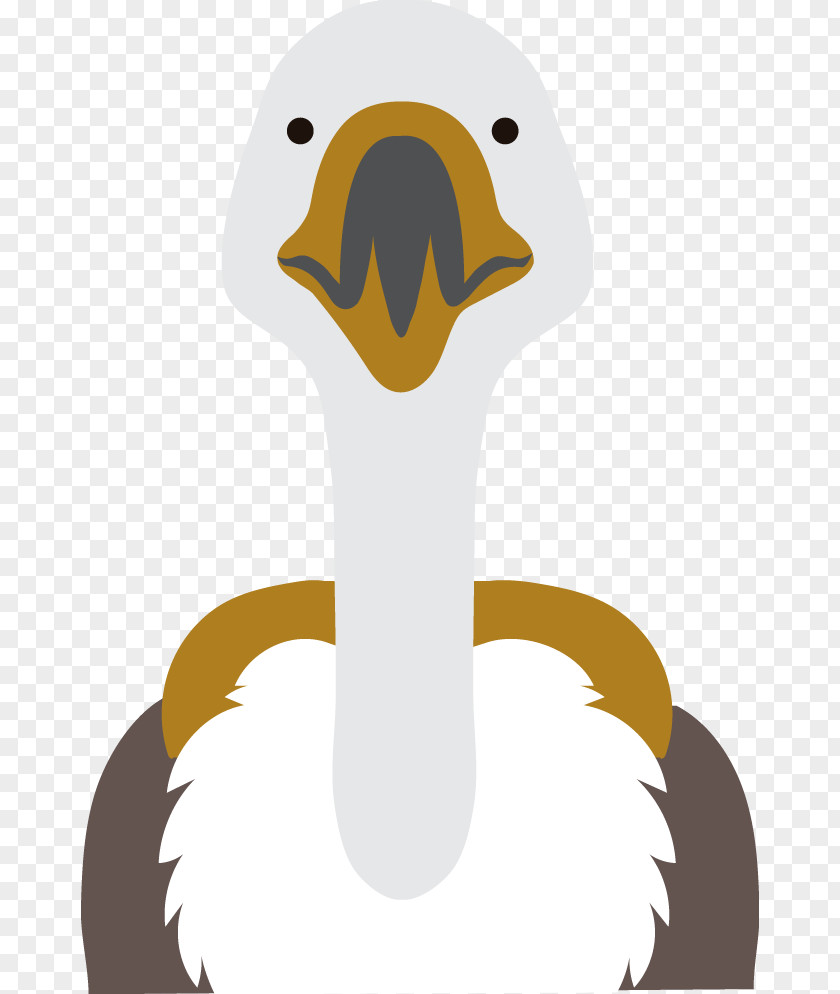 Vector Ostrich Common Duck Clip Art PNG