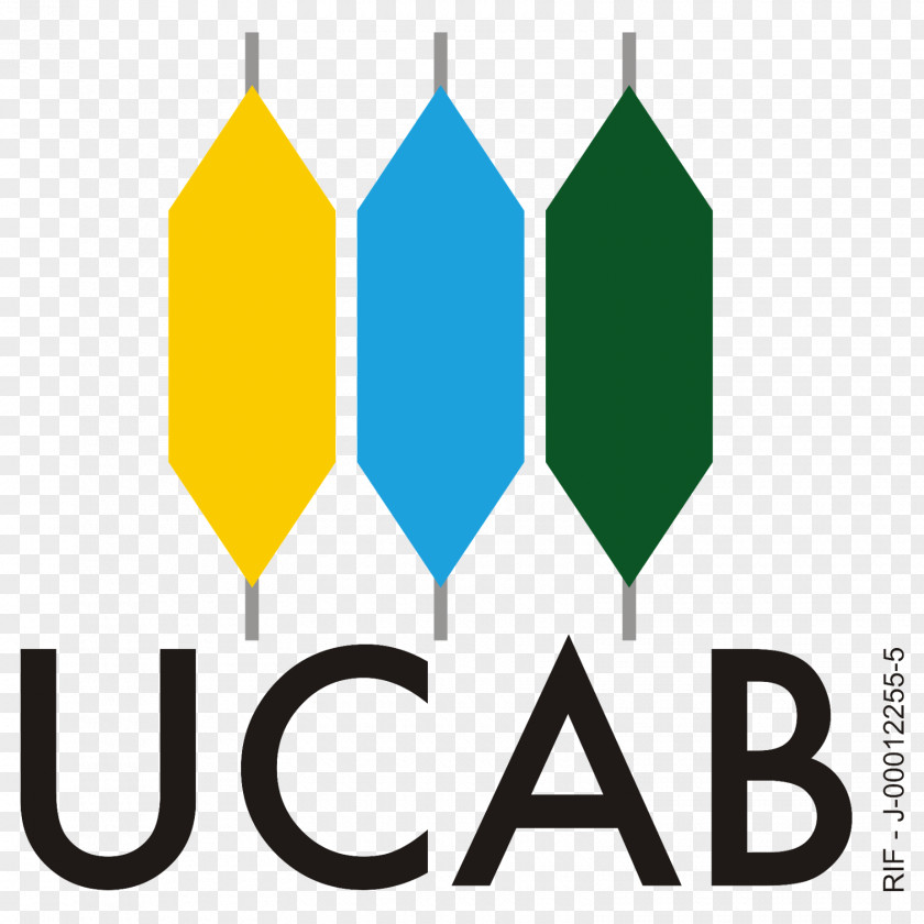 Assignments Infographic Biblioteca Central De La UCAB University Catholic Higher Education Bachelor's Degree School PNG