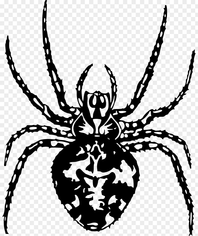 Barn Spider Arthropod Clip Art Vector Graphics Spider-Man PNG