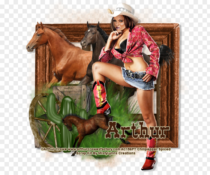 CowGirls Bridle Stallion Halter Rein Cowboy PNG