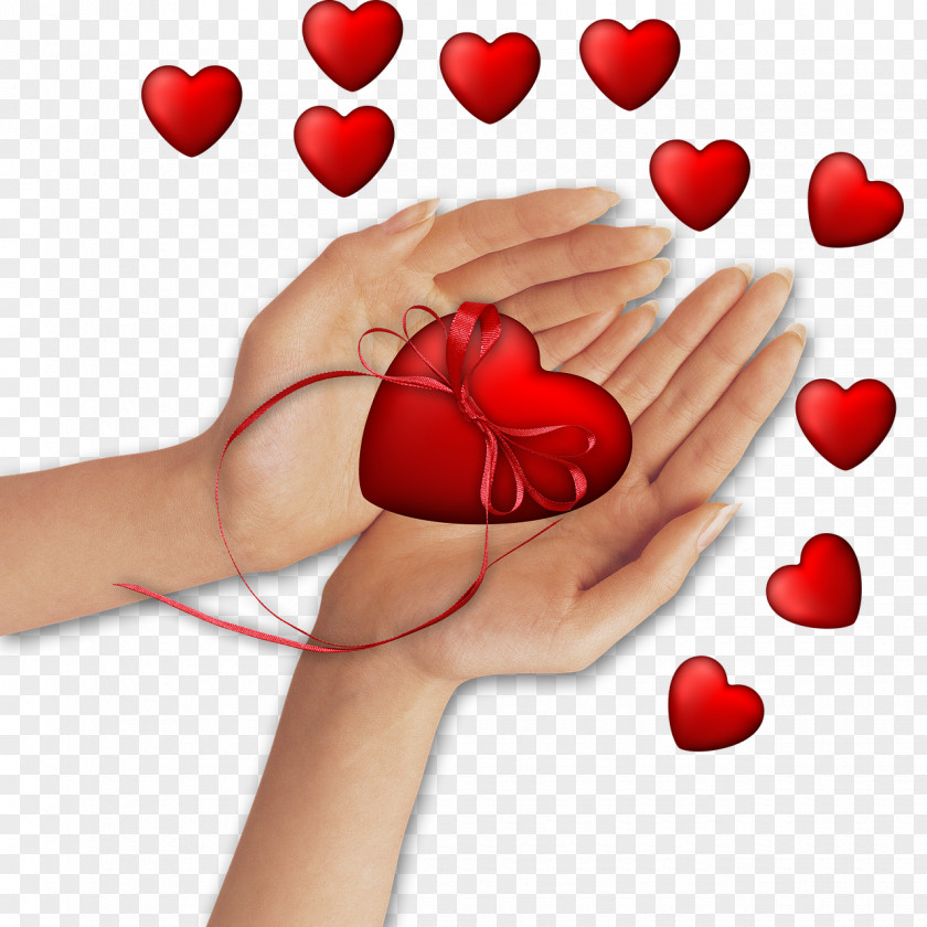 Hand Drawn Heart Images Image Download Stock.xchng PNG