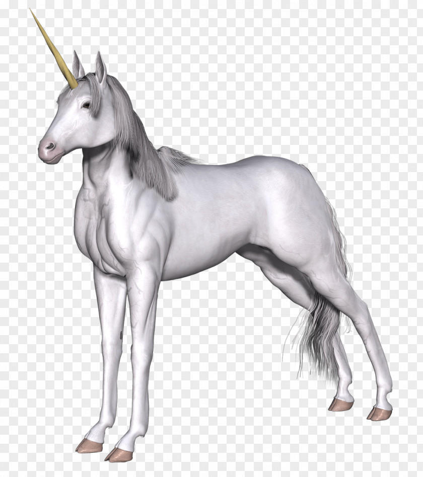 Unicorn Legendary Creature Clip Art PNG