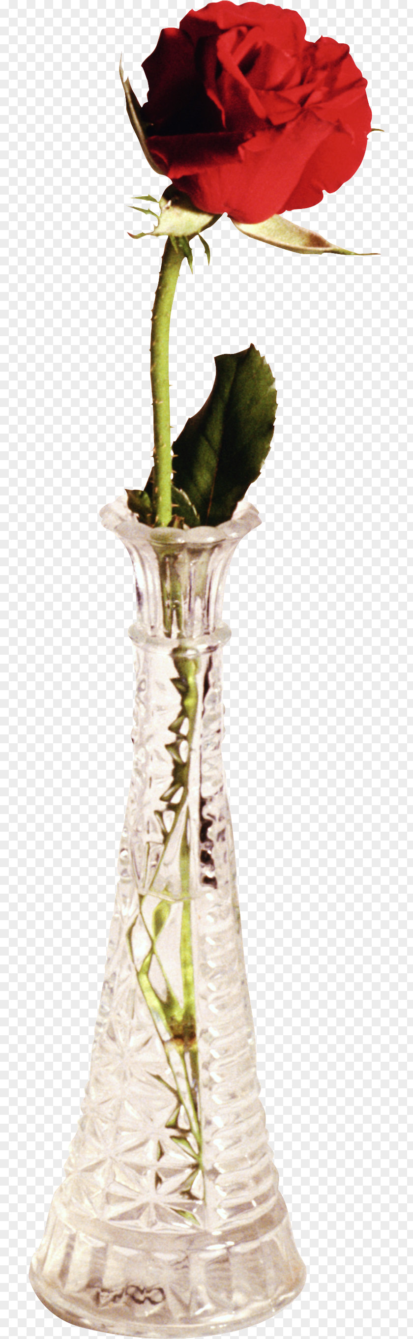 Vase Flower Bouquet Garden Roses PNG