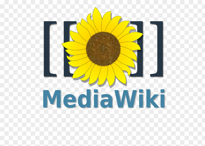 World Wide Web MediaWiki Wiki Software Wikimedia Foundation Computer PNG