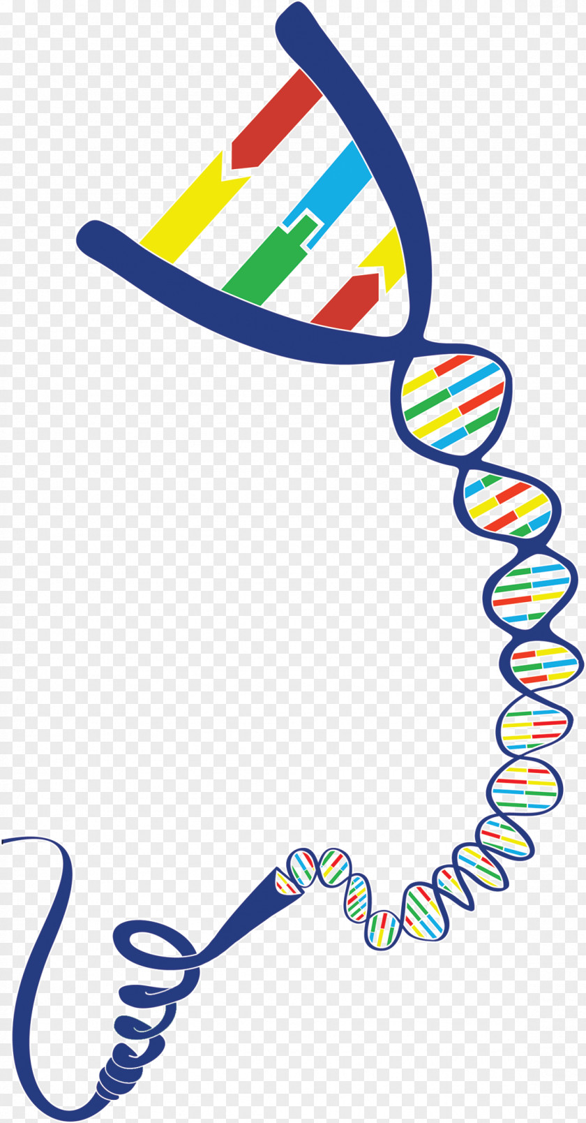 Dna Day DNA Geneious Gene-Ius Clip Art PNG