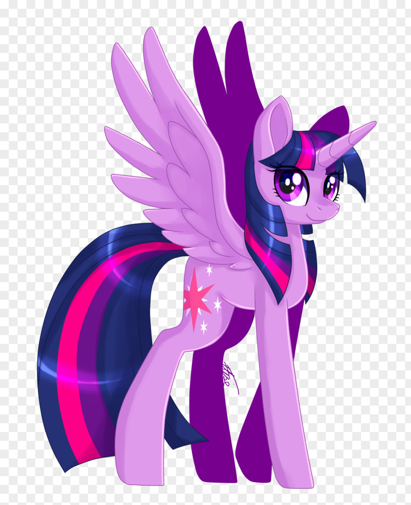 Pony Twilight Sparkle Rainbow Dash The Saga Tempest Shadow PNG