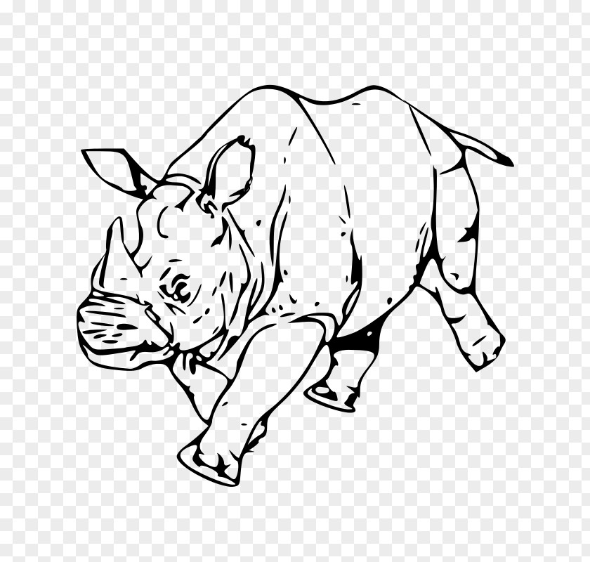 Rhinoceros Canidae Drawing Clip Art PNG