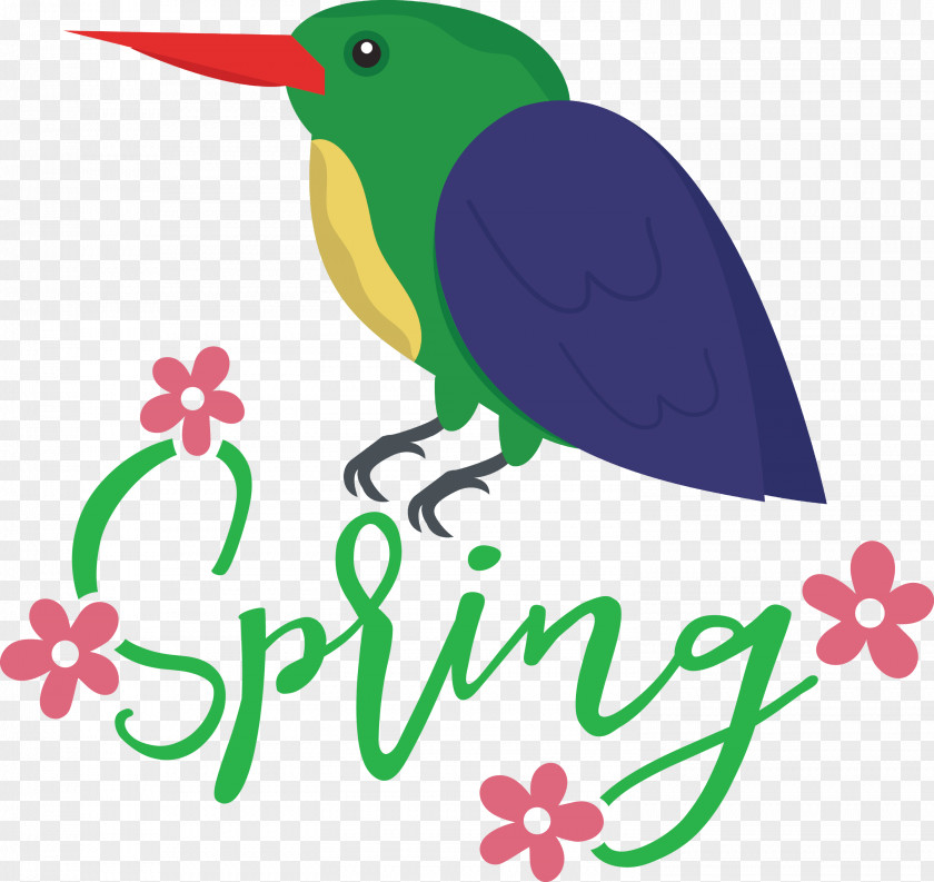 Spring Bird PNG