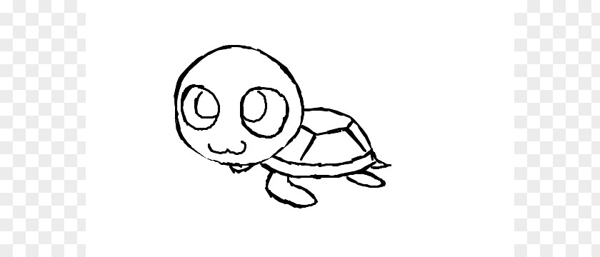Turtle Drawing Leonardo Cuteness PNG