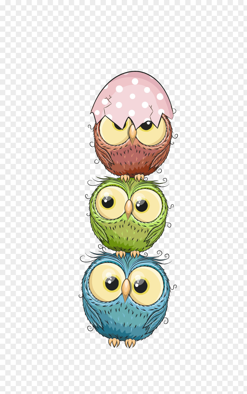 Vector Chicken Eggshell Owl Bird Clip Art PNG