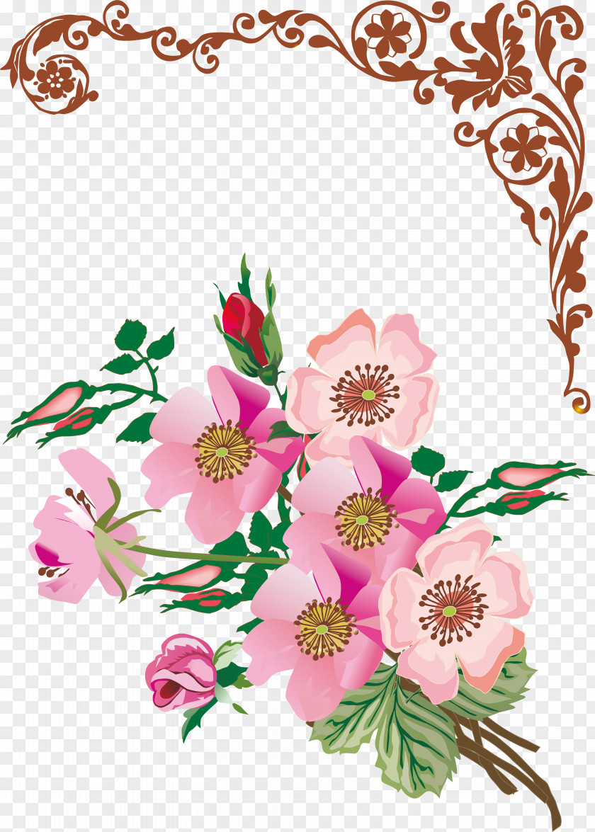 Vector Flower Floral Design PNG