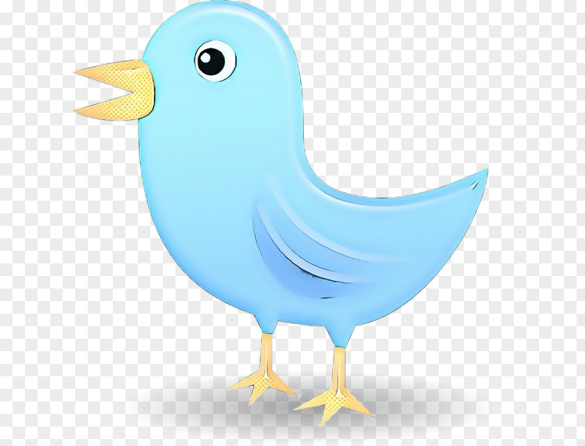 Water Bird Cartoon Chicken PNG