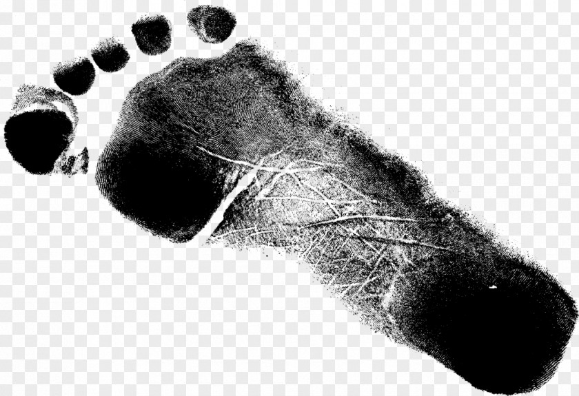 Footprint Shoe Grunge Paw PNG