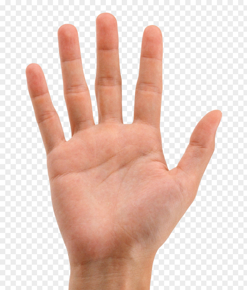 Hand Shake Index Finger Image PNG