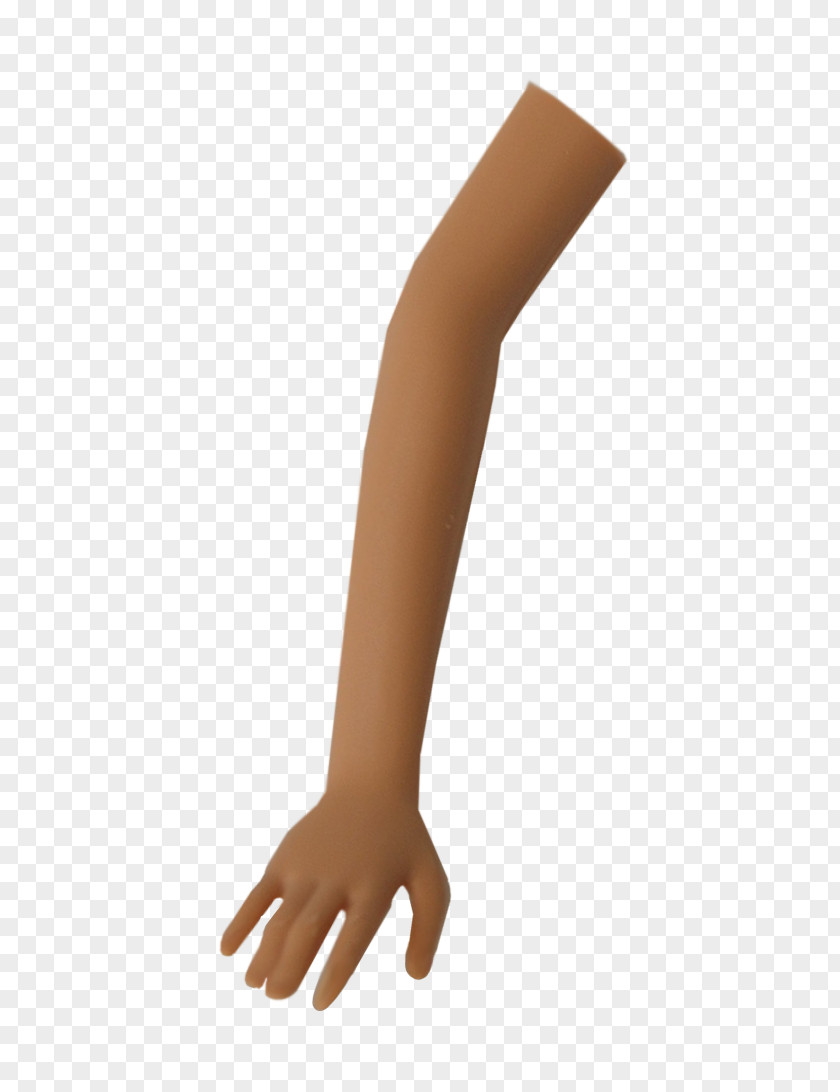 Human Leg Limb Hand Model Arm Finger PNG leg model Finger, booth clipart PNG