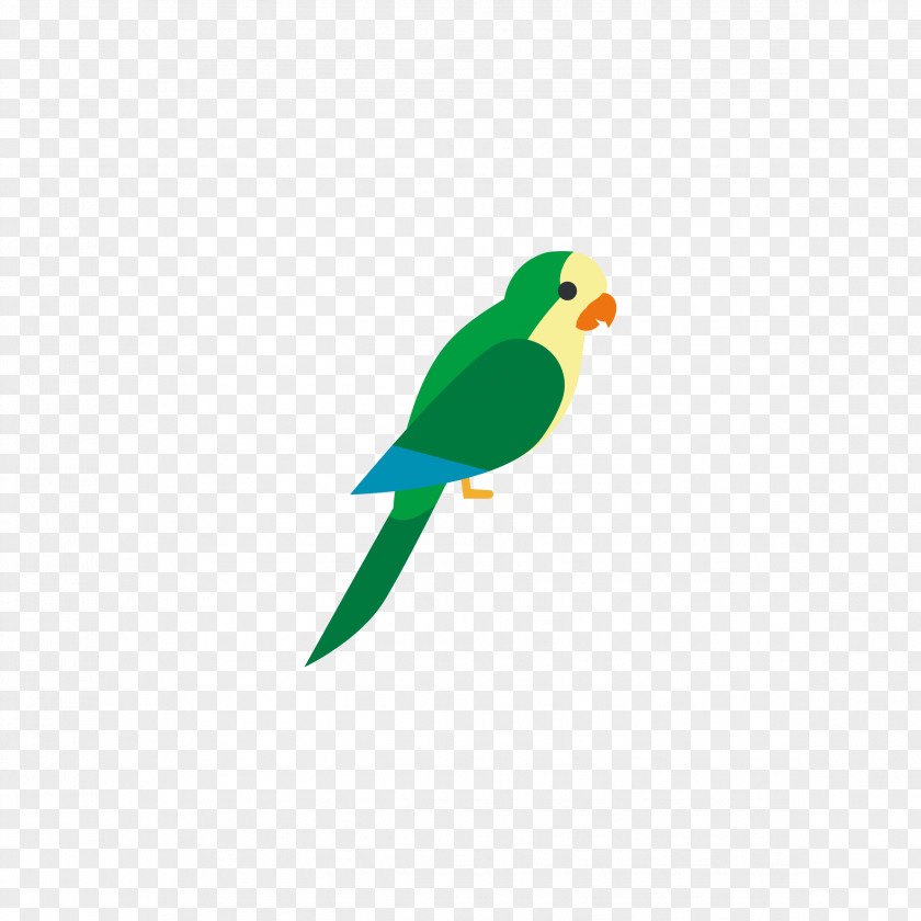 Multicolored Parrot Bird Parrots Of New Guinea Euclidean Vector PNG