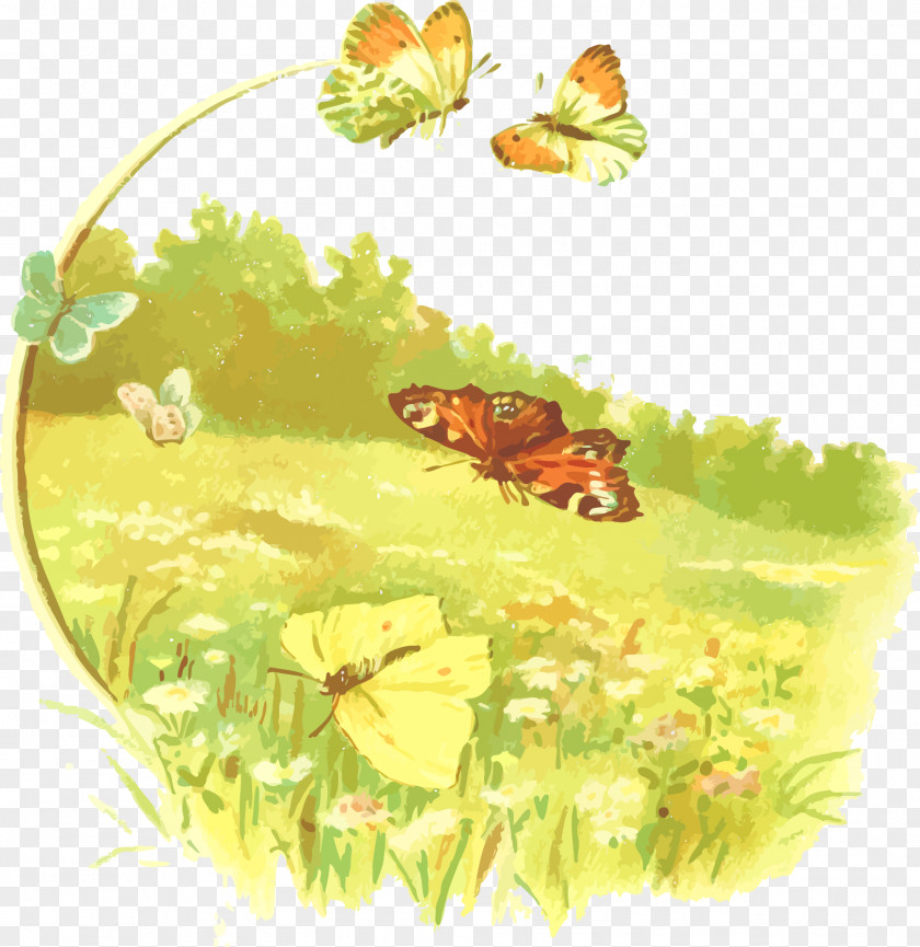 Vector Butterfly Monarch Clip Art PNG
