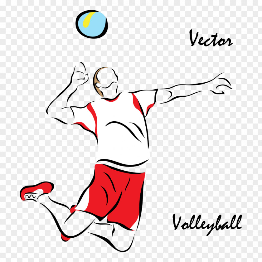 Vector Volleyball Players Sport Euclidean Illustration PNG