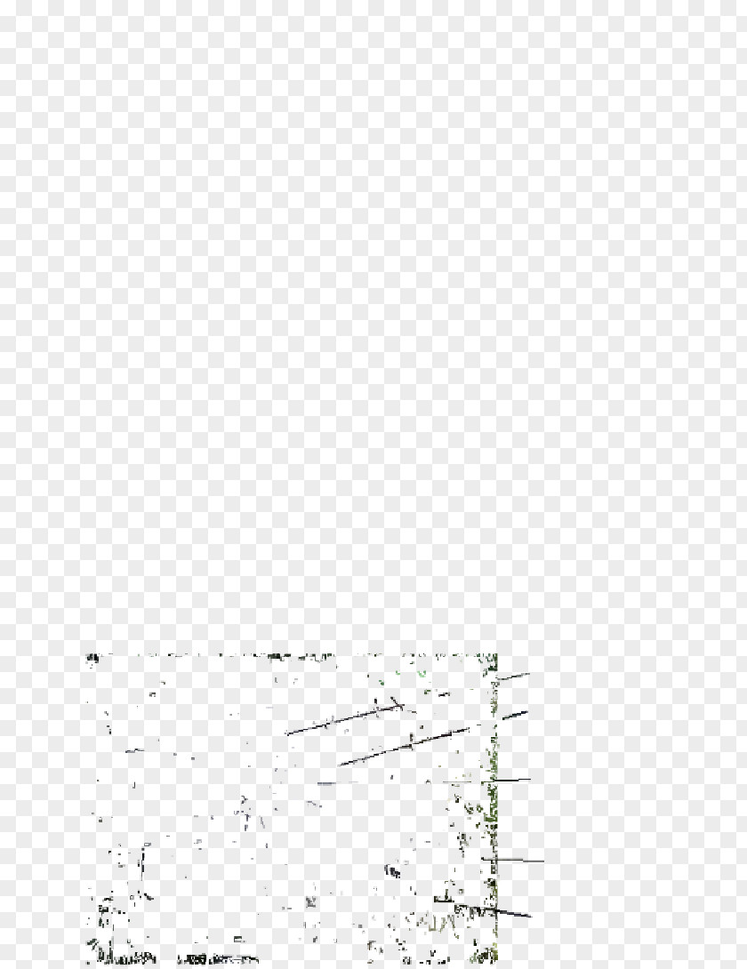 Angle Paper White Point PNG