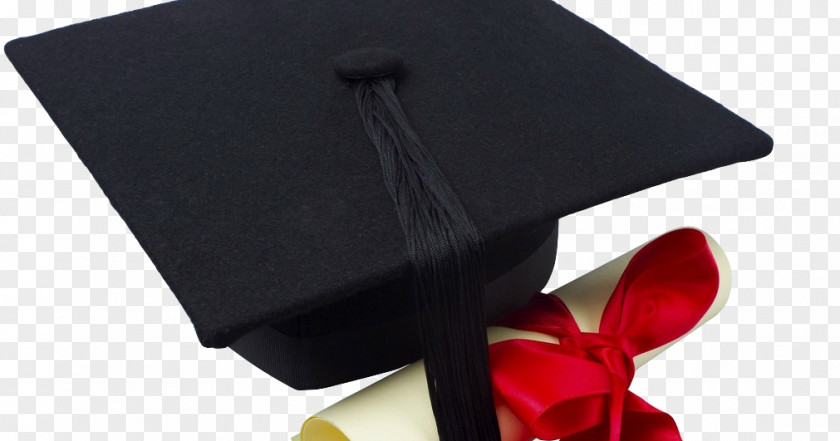 Cap Graduation Ceremony Square Academic Diploma Dress PNG